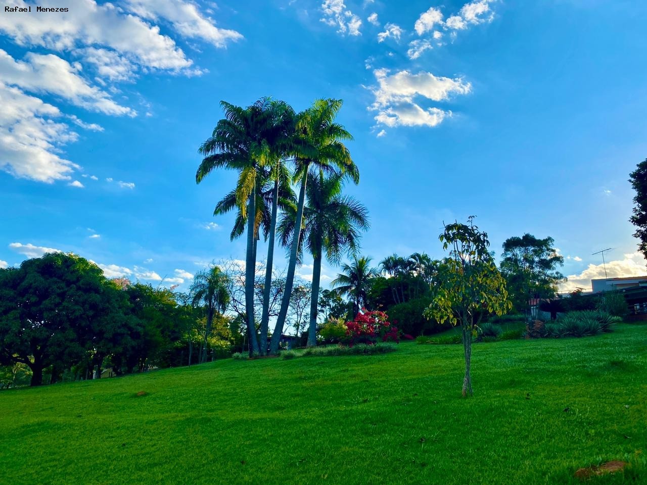 Chácara, 3 quartos, 5000 m² - Foto 15